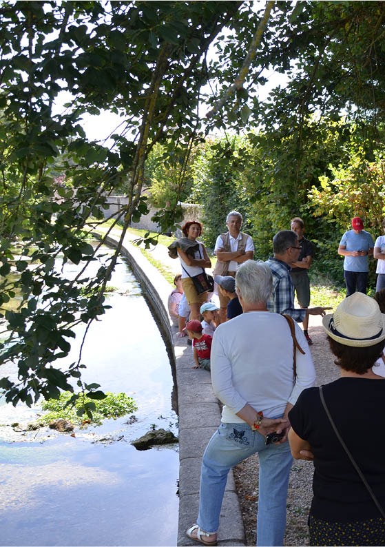 Balade-découverte Nature 2019